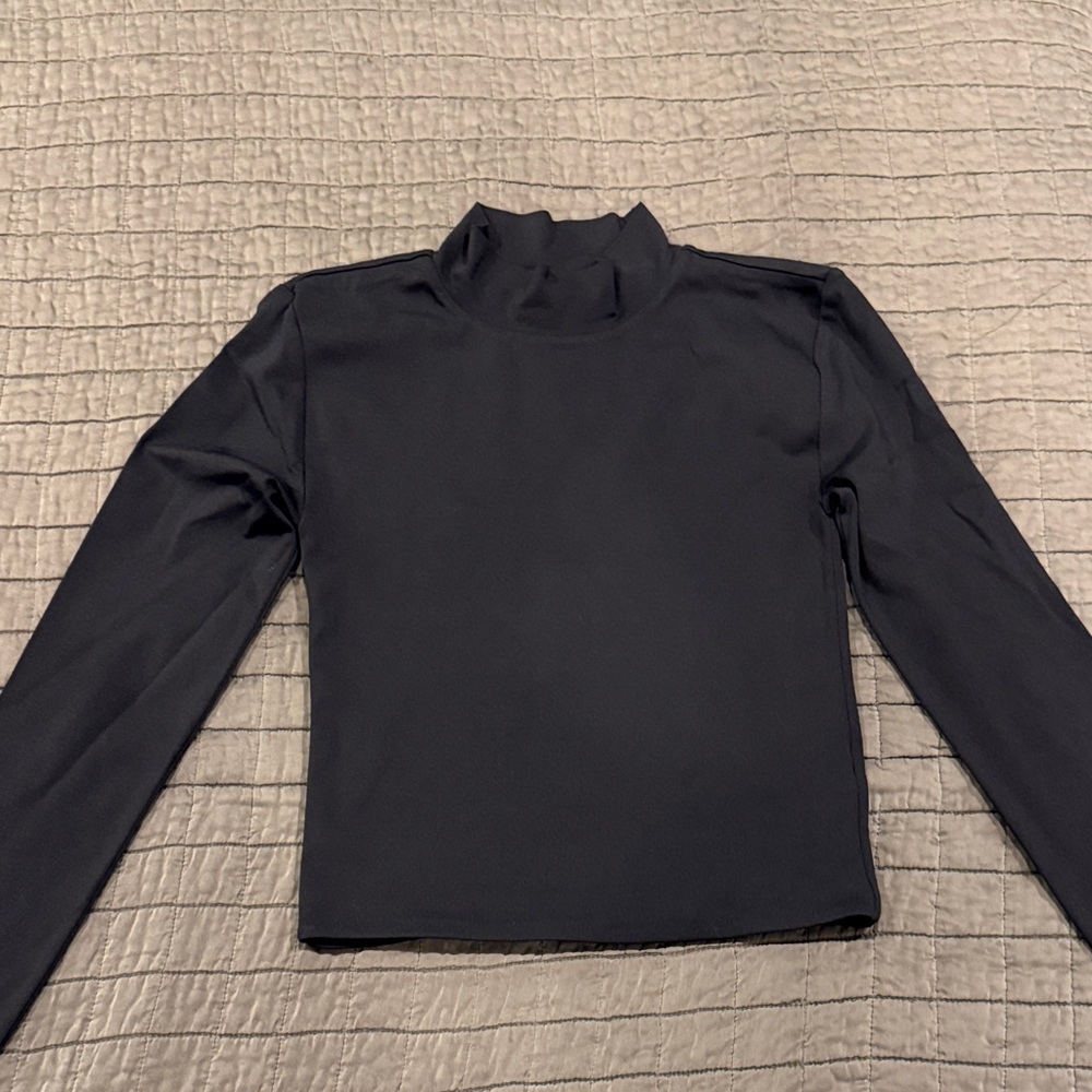 Aritzia Babaton black long sleeve turtleneck